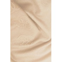 GUESS SCARF 65X180 ΚΑΣΚΟΛ ΓΥΝΑΙΚΕΙΟ LATTE