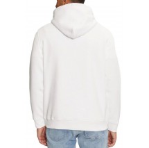 TOMMY JEANS  REG LINEAR GOLD HOOD EXT ΦΟΥΤΕΡ ΑΝΔΡΙΚΟ WHITE