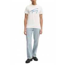 TOMMY JEANS REG RWB SIGNATURE TEE T-SHIRT ΜΠΛΟΥΖΑ ΑΝΔΡΙΚΗ WHITE